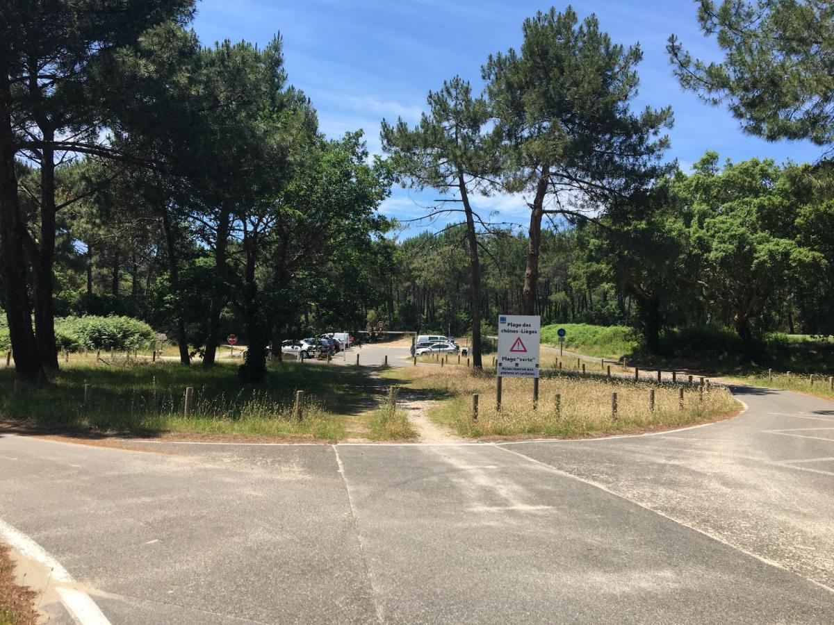 Appartement T2 Proche Du Golf Et De La Plage 莫列马阿 外观 照片